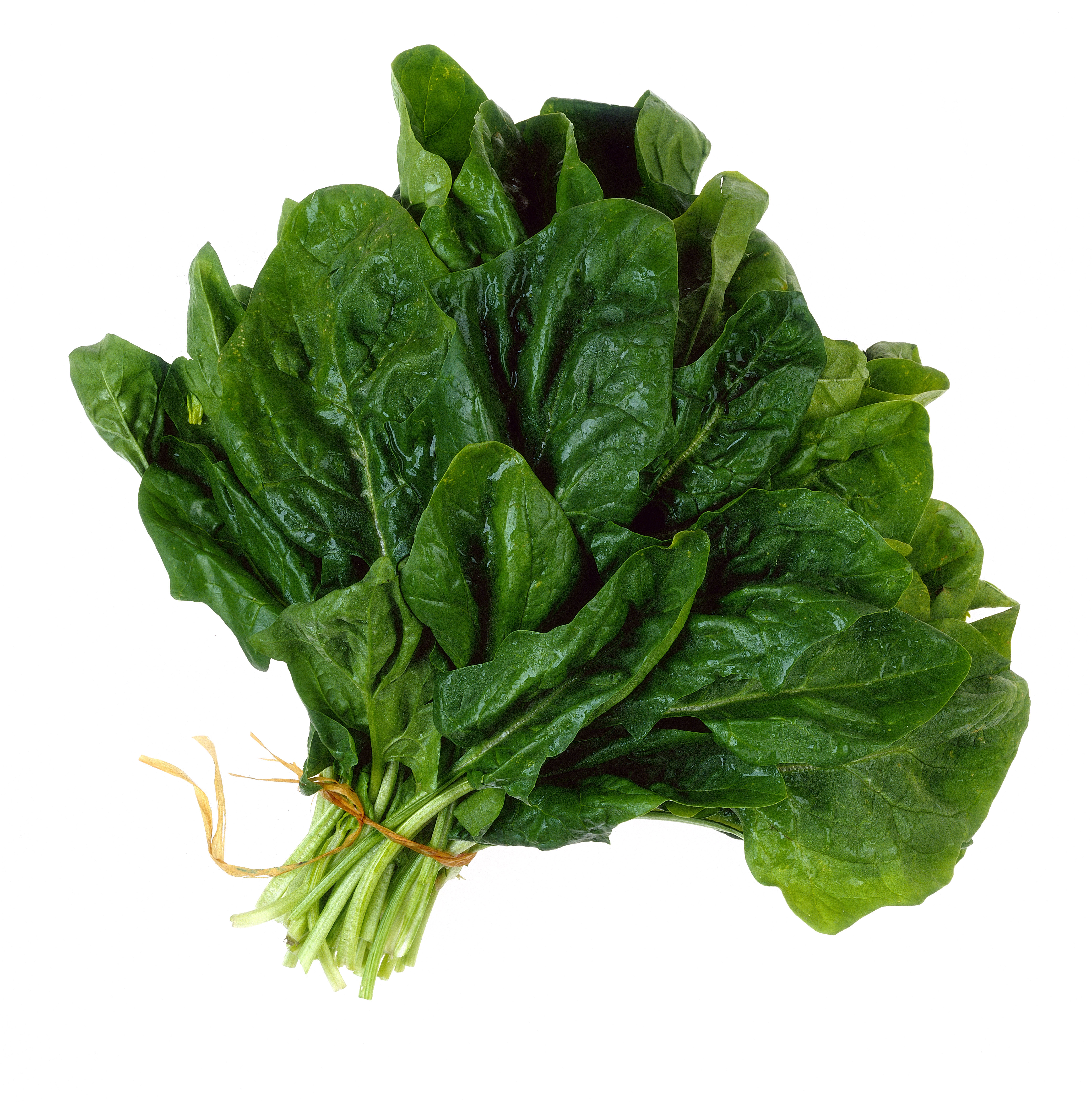 green leafy vegetables