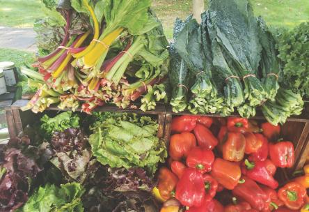 Farmers market