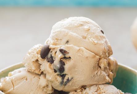 Peanut Butter Chip Ice Cream