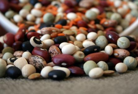 pile of raw beans