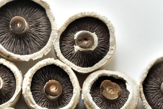 grilled stuffed portobello mushrooms